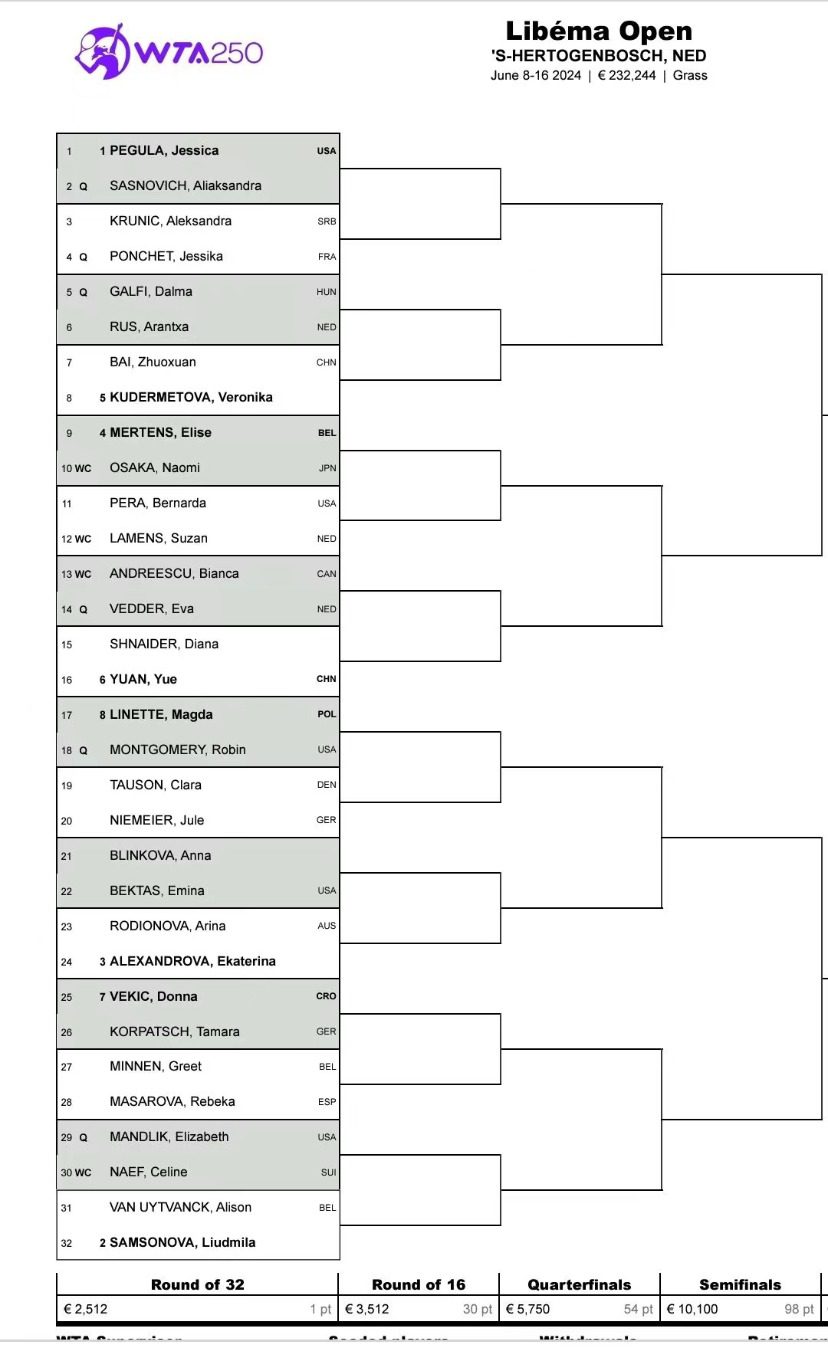 Draw: Yuan Ye and Bai Zhuoxuan Compete at WTA Schiedam: Pegula Leads -illustration-1