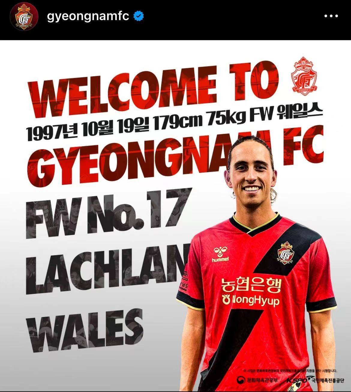 Official: Western United forward Wells joins Gyeongnam FC -illustration-