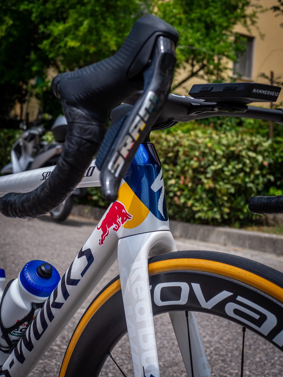 Roglic’s Red Bull Bora Edition TARMAC SL8 -illustration-1